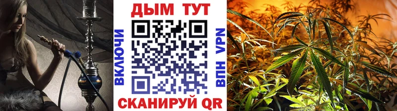 Магазины продажи наркотиков Шарья COCAIN  Меф  APVP  МАРИХУАНА  Псилоцибиновые грибы  ГАШ 