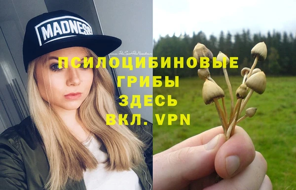 мдпв Лиски