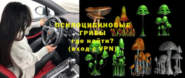 мдпв Лиски